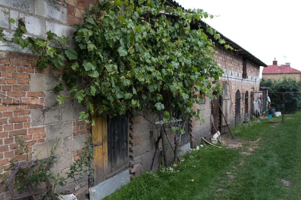Agroturystyka Karpinscy Wizna Exteriör bild